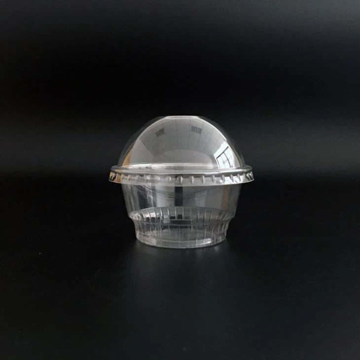 5 oz Plastic PET Ice Cream Cups (2)